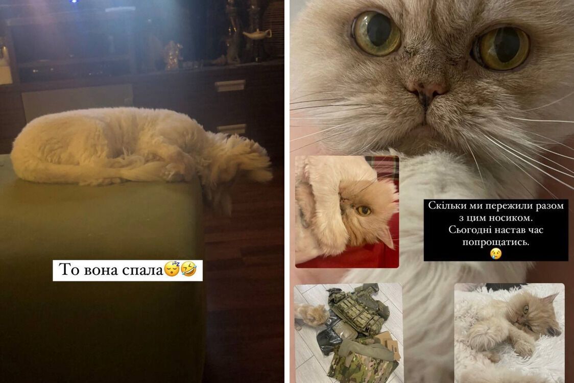 Кішка Віталія Козловського