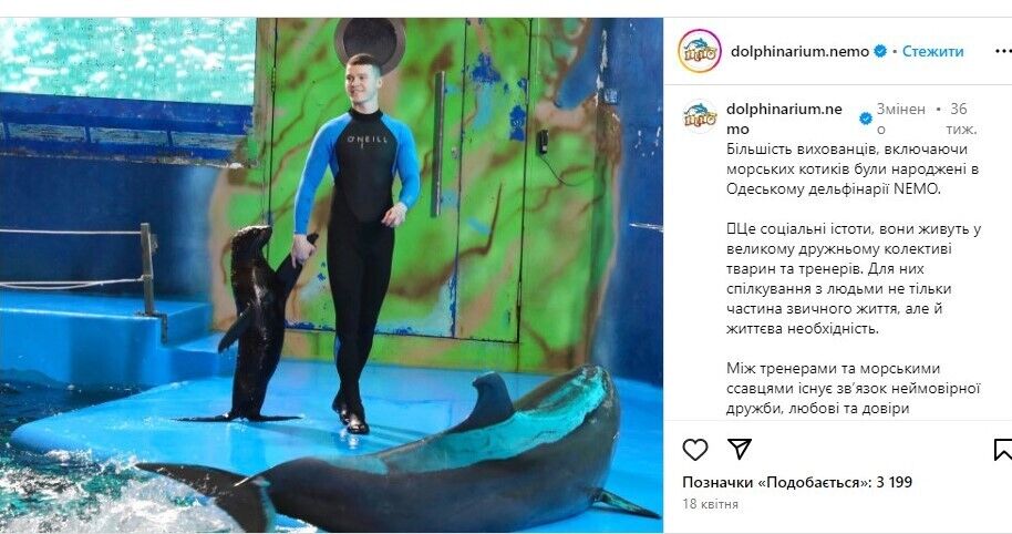 Коментар від адміністрації дельфінарію в Instagram