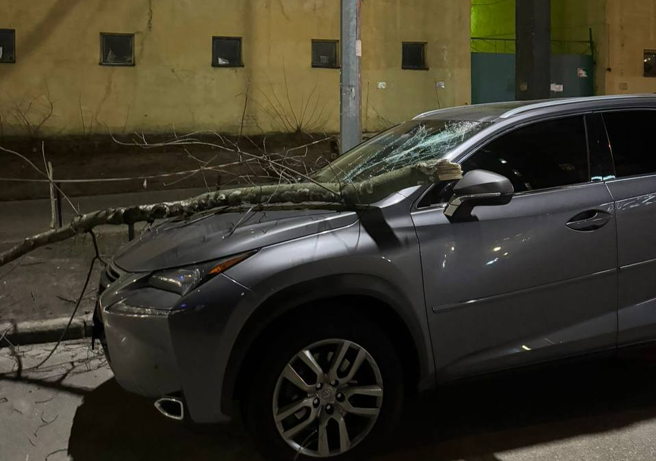 Автомобиль Lexus сокрушила ветка из дерева