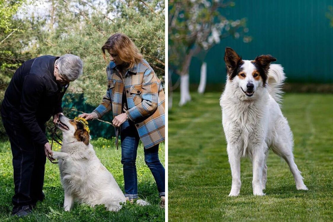 Семья Порошенко с собакой