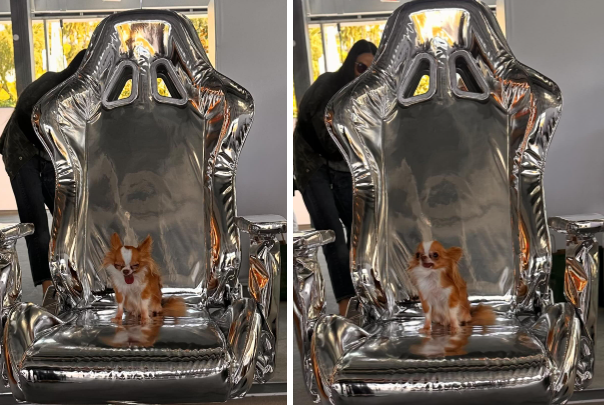 Демі Мур та її песик Пілаф