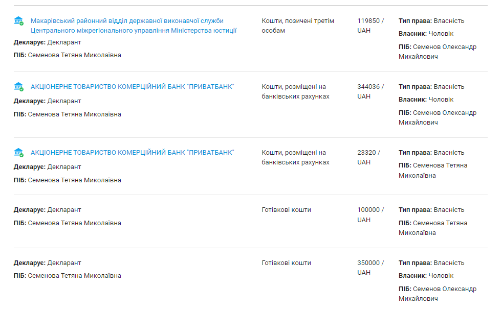 Витяг з декларації Тетяни Семенової