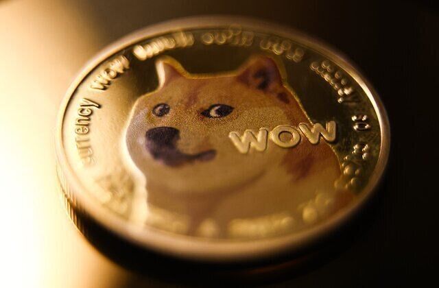 Прощавай, легендо! У Японії помер собака-сенсація, прототип мема Doge