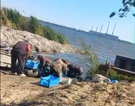 Браконьеры ловили рыбу на озере Лиман