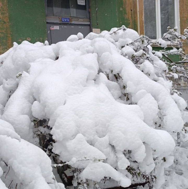Зима посреди мая: россию накрыла вьюга (фото, видео)
