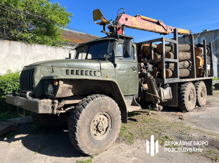 ДБР викрило незаконні рубки дерев у трьох областях