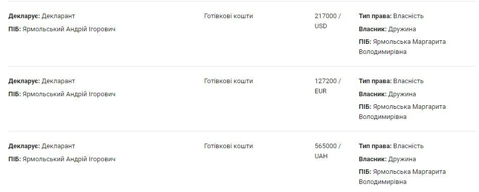 Наталія Ярмольська також має у готівці 217 тис.доларів США, 27 200 євро та 565 тис. гривень
