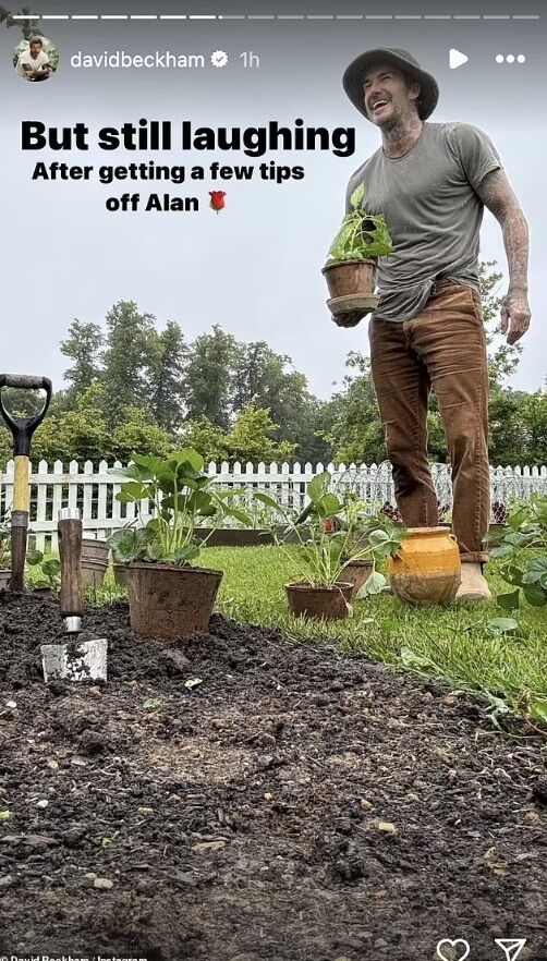 Дэвид Бекхэм стал настоящим огородником: он выращивает овощи и держит кур (фото, видео)