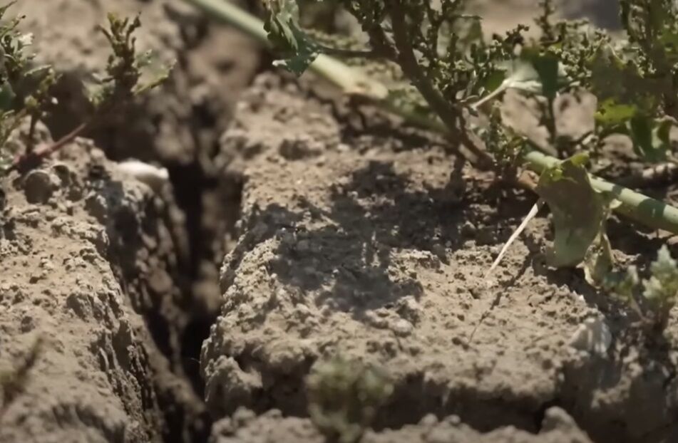 Экологи – против восстановления Каховской ГЭС