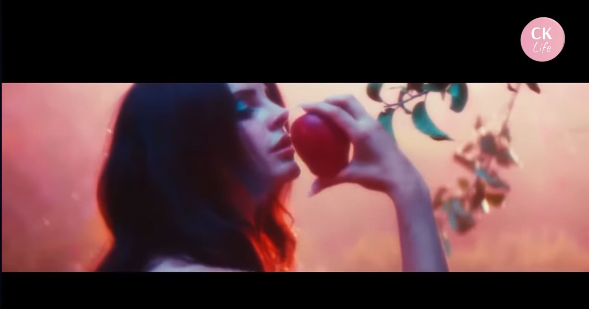 Меланхолия и изменения в творчестве Ланы Дель Рэй