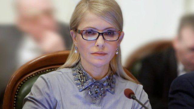Фракция ''Батькивщина'' выступила против президентского законопроекта о множественном гражданстве
