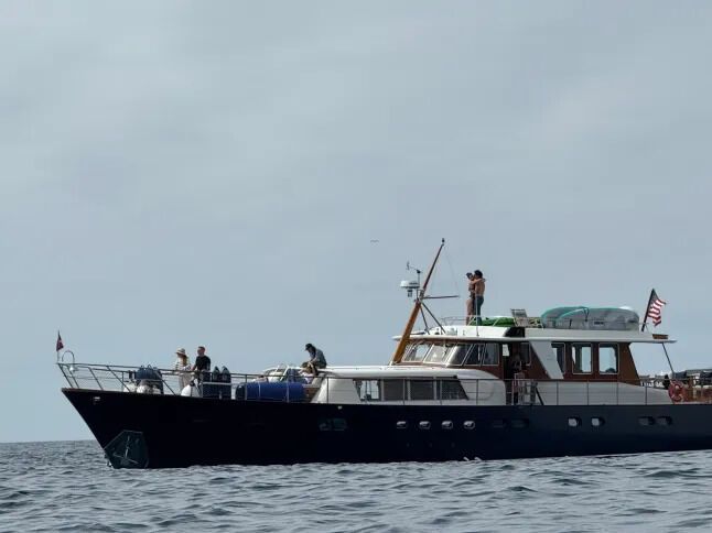 Новый звездный роман? Кэти Перри в компании Джастина Трюдо на яхте в Калифорнии