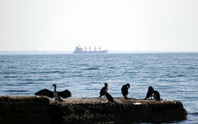 Українське судно затонуло біля берегів Болгарії — стало відомо, що з екіпажем