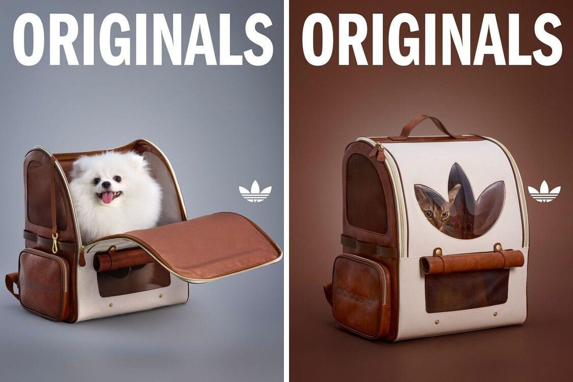 Домашние любимцы тоже в тренде: Adidas запустил сезонную линейку