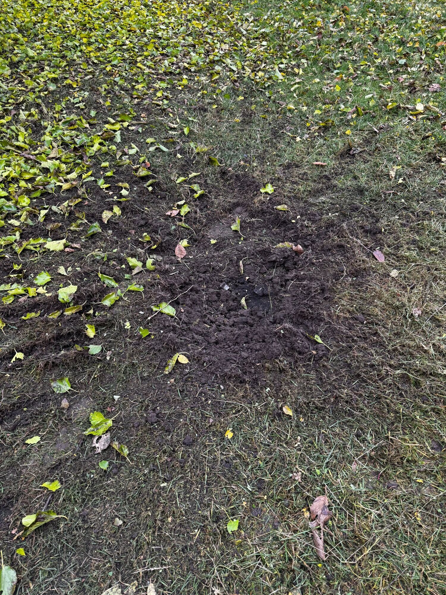 Масований обстріл Новгорода-Сіверського