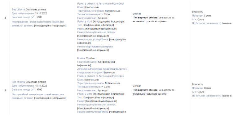 Земля Ольги Селых, декларация