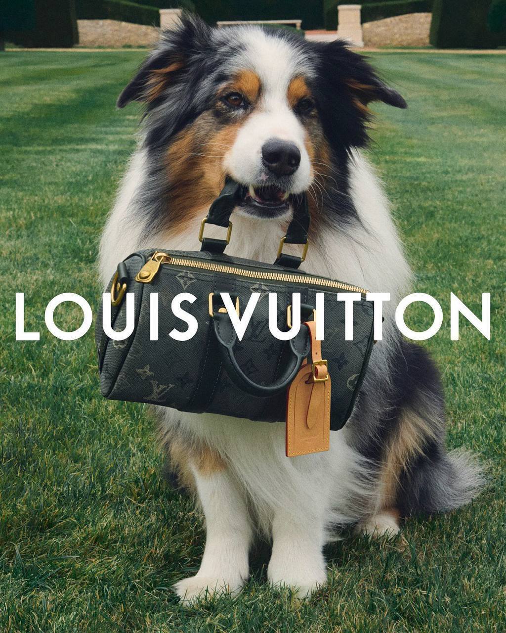 Джуд Беллингем и Каллум Тернер стали лицами pre-spring кампании Louis Vuitton 2026