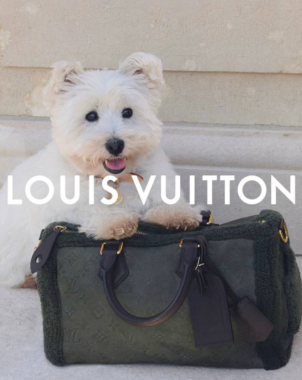 Джуд Беллингем и Каллум Тернер стали лицами pre-spring кампании Louis Vuitton 2026
