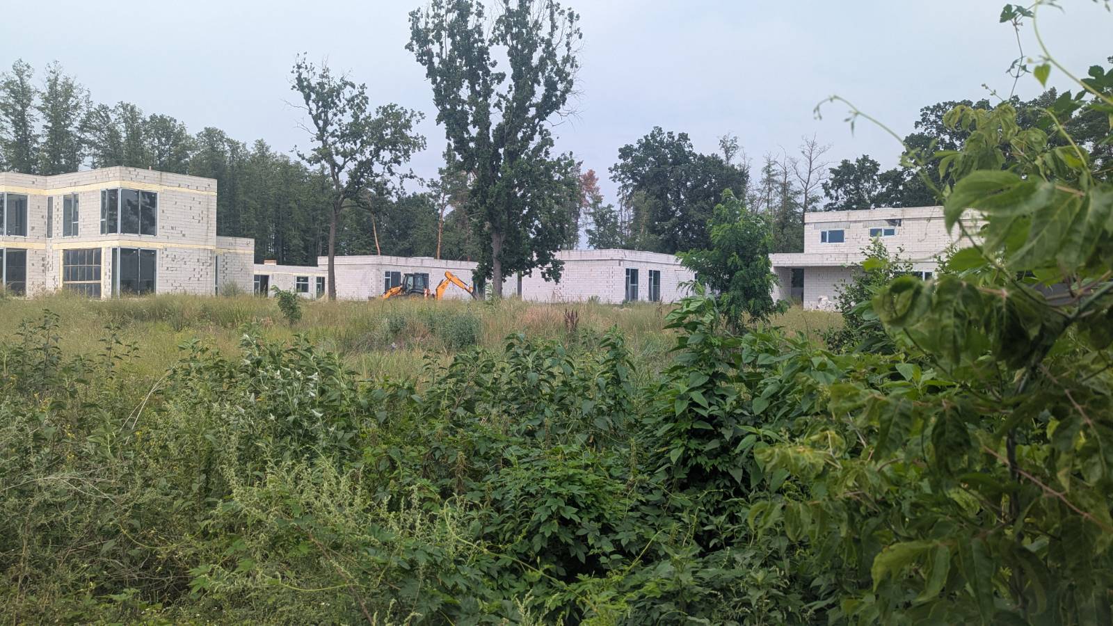 Как домовой чат разоблачил скрытое имущество пограничника Трофименко