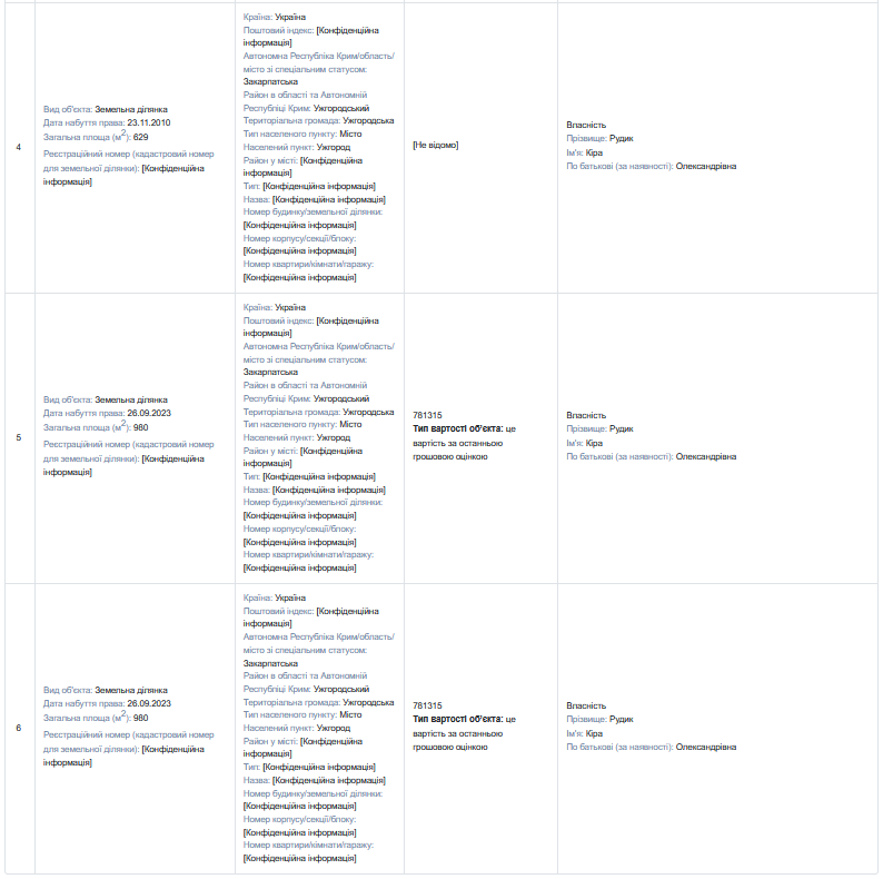 Имущество Киры Рудик