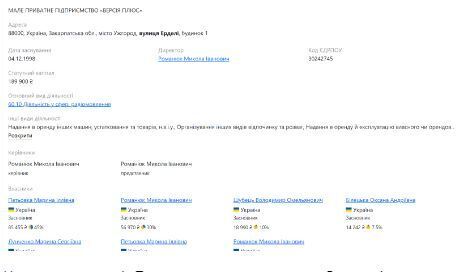 Профиль МЧП ''Версия плюс'' на опендатабот