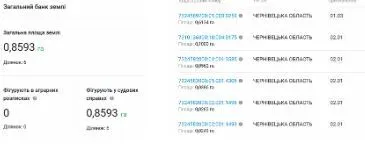 Земельные участки Михаила Акостакиоае