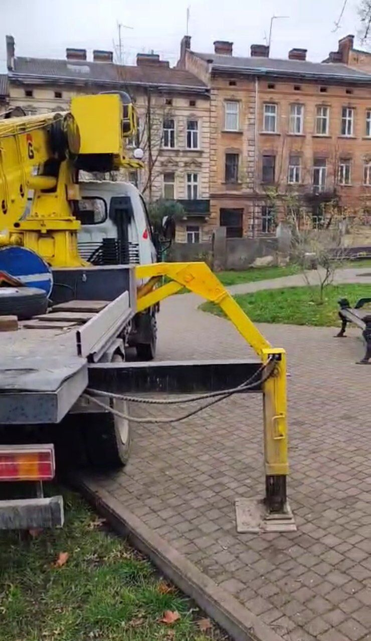 Вырубка деревьев у костела св. Антония во Львове