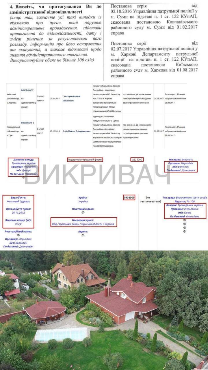 Колишній прокурор Жерьобкін керує охороною лісів і задекларував десятки мільйонів майна
