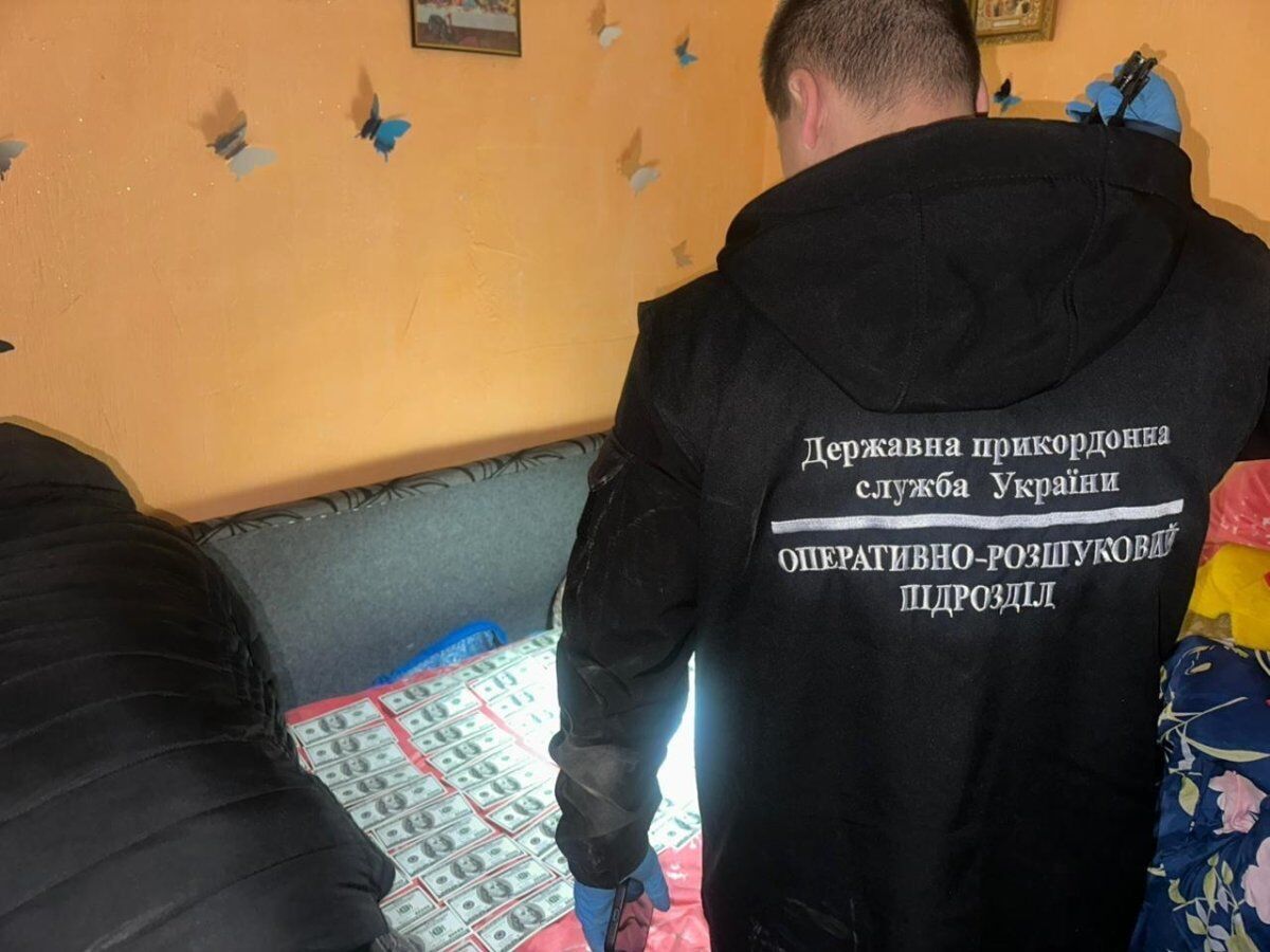 $10 тис. за незаконний перетин кордону на Закарпатті
