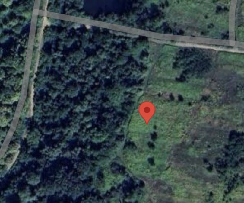 участок Михаила Банка в Кольчино