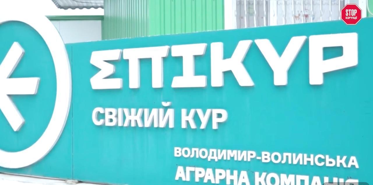 Смердить і хворіють: чим обернулось ''екочесне'' виробництво Добкіних, — розслідування