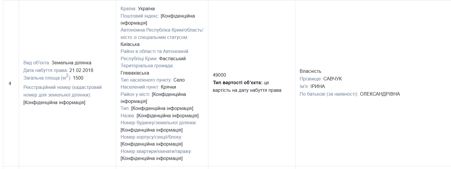 Декларація Ірина Савчук
