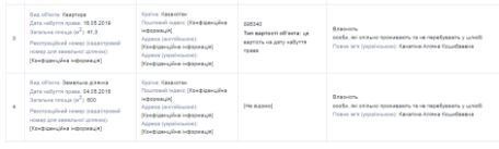 Данные о собственности Алианы Канапиной в декларации С.Нагорняка