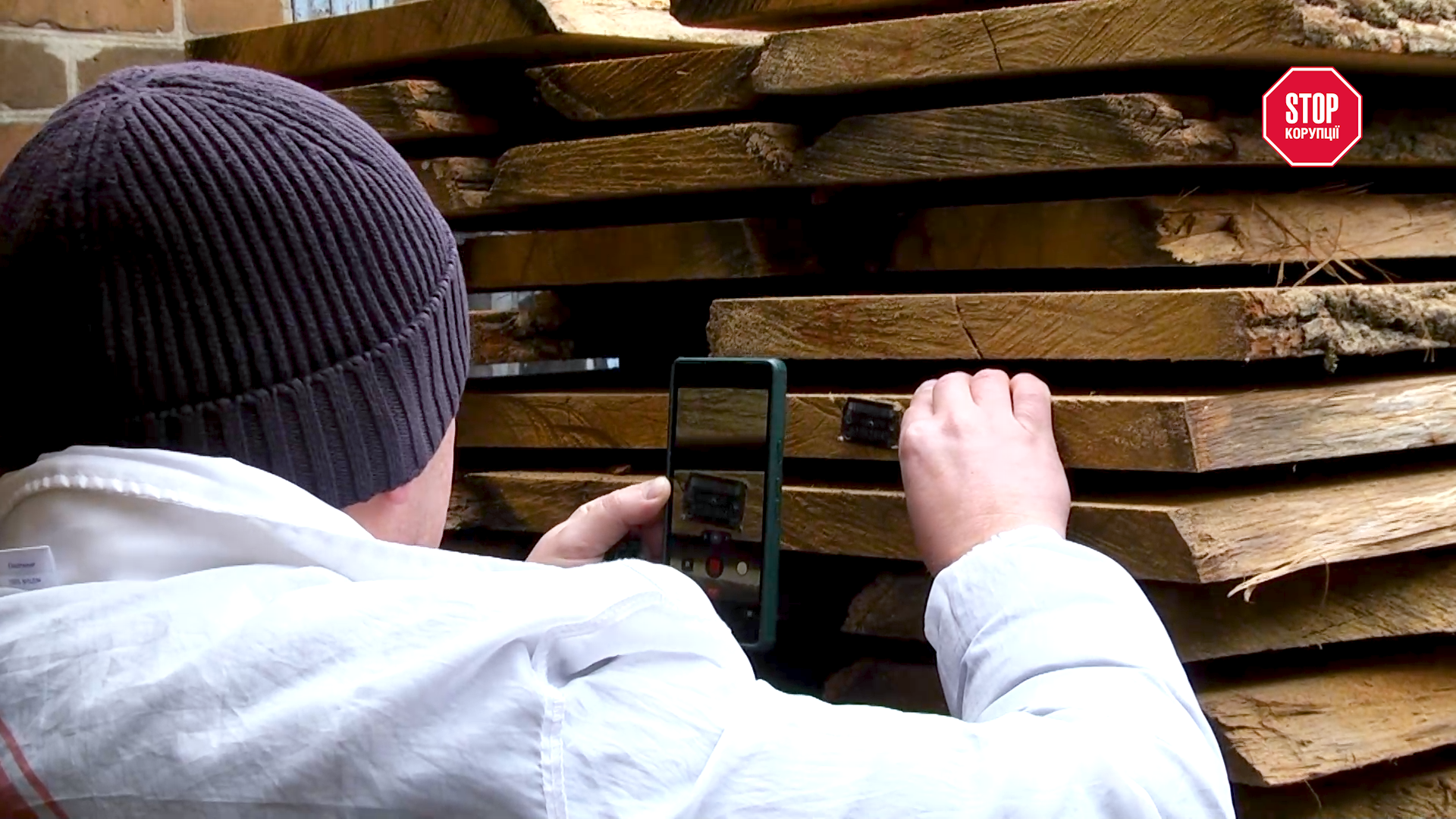 Проверка происхождения и класса древесины