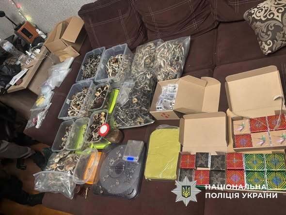 У Києві викрили нарколабораторію в квартирі: псилоцибінові гриби продавали під виглядом шоколаду