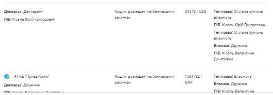 Юрий Кисель, семья, декларация