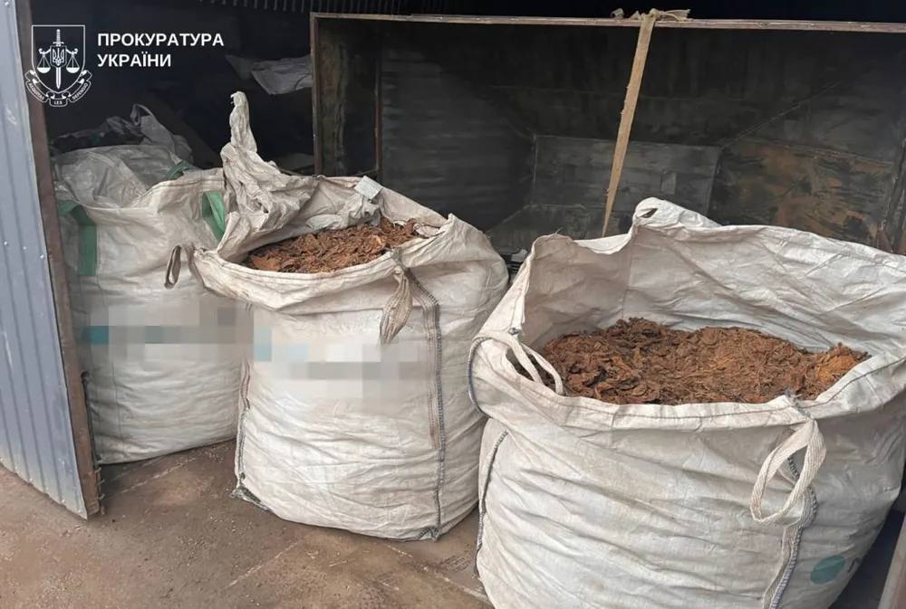 70 га плантаций: нардеп Лабазюк может быть причастен к теневому производству табака в Хмельницкой области, – Обличитель