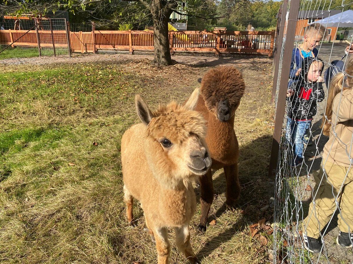 Место эмоционального обновления и контакта с природой