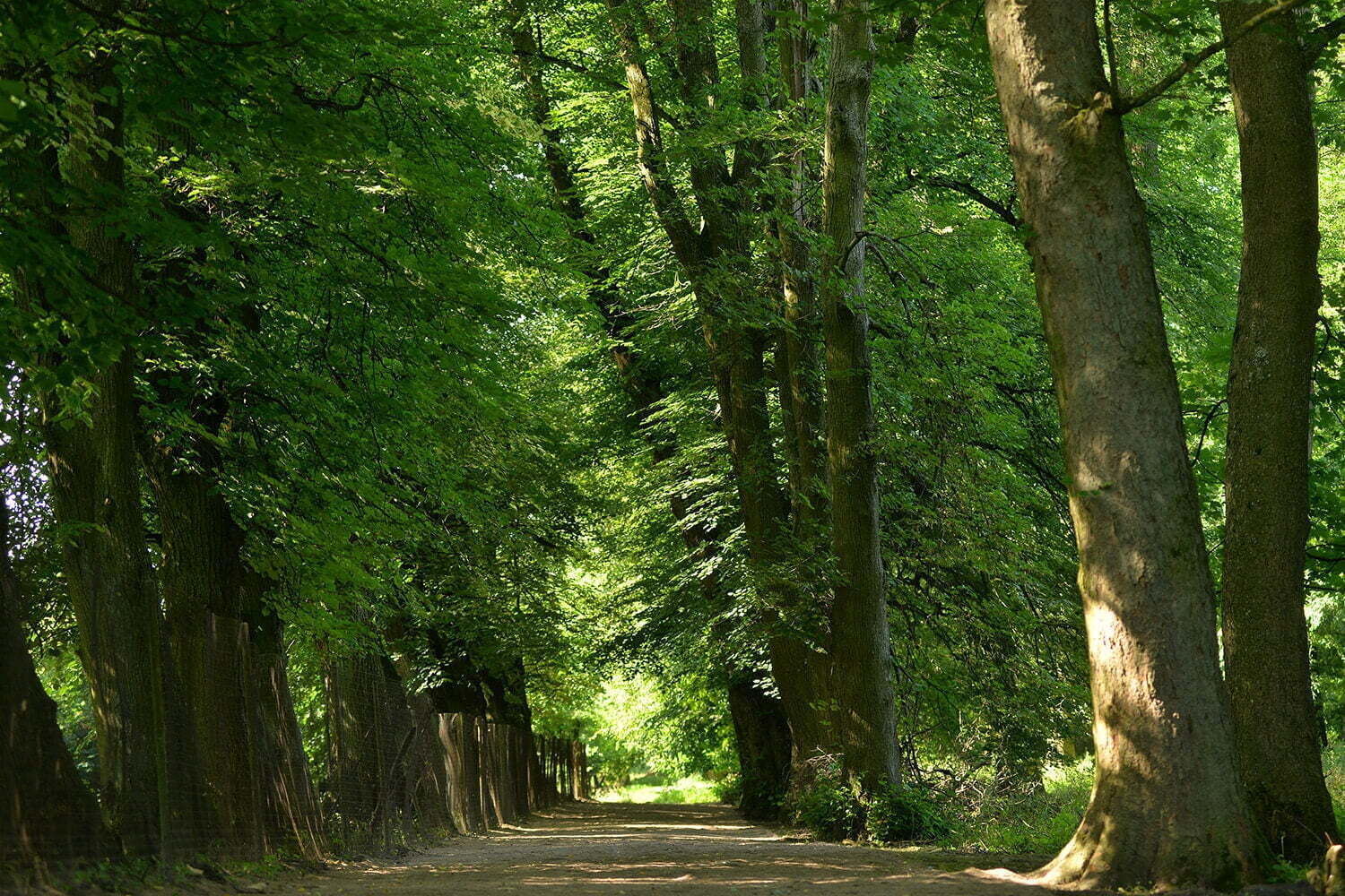 Место эмоционального обновления и контакта с природой