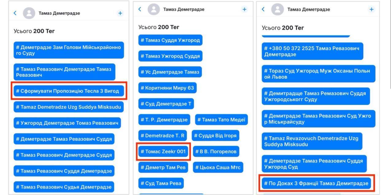 Декларация судьи Деметрадзе: заниженная стоимость имущества и схемы с недвижимостью