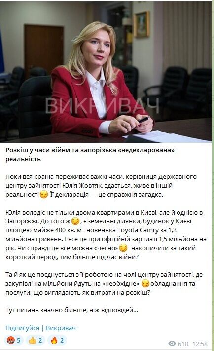 Керівниця Державного центру зайнятості Юлія Жовтяк опублікувала загадкову декларацію
