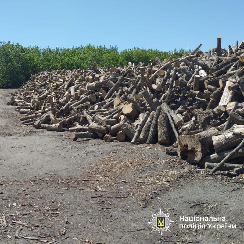 Поліція зафіксувала маштаби розкрадань.