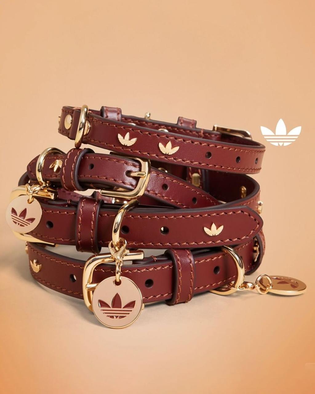 Adidas создал первую спортивную коллекцию для домашних питомцев