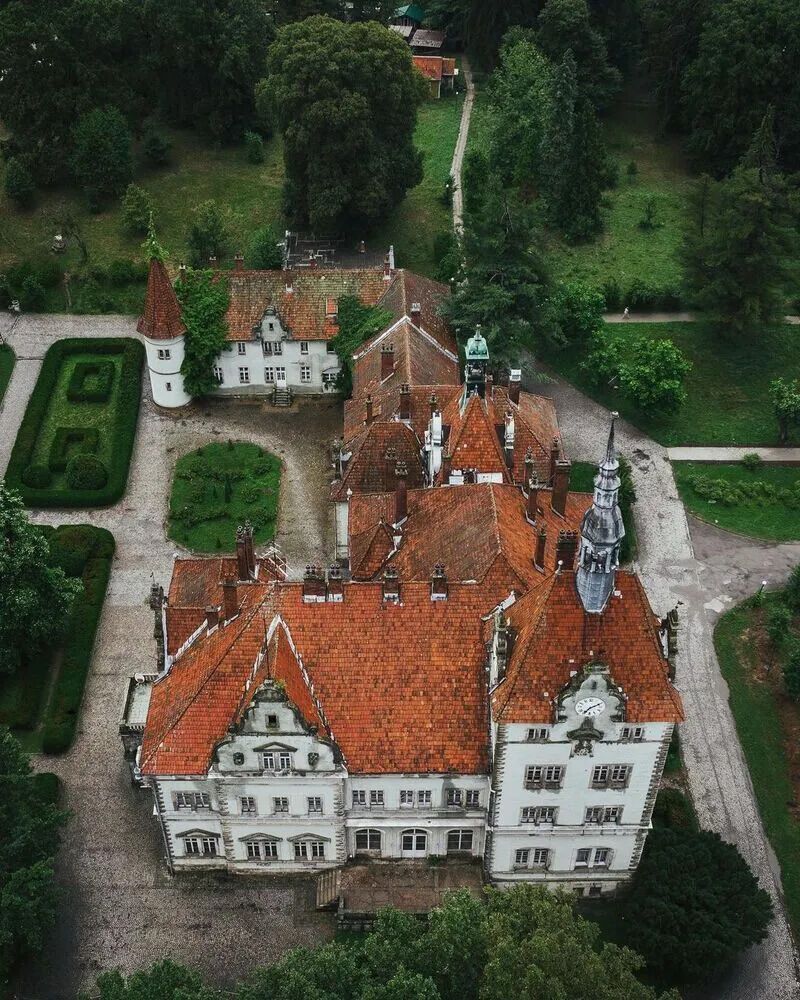 Палац Шенборна