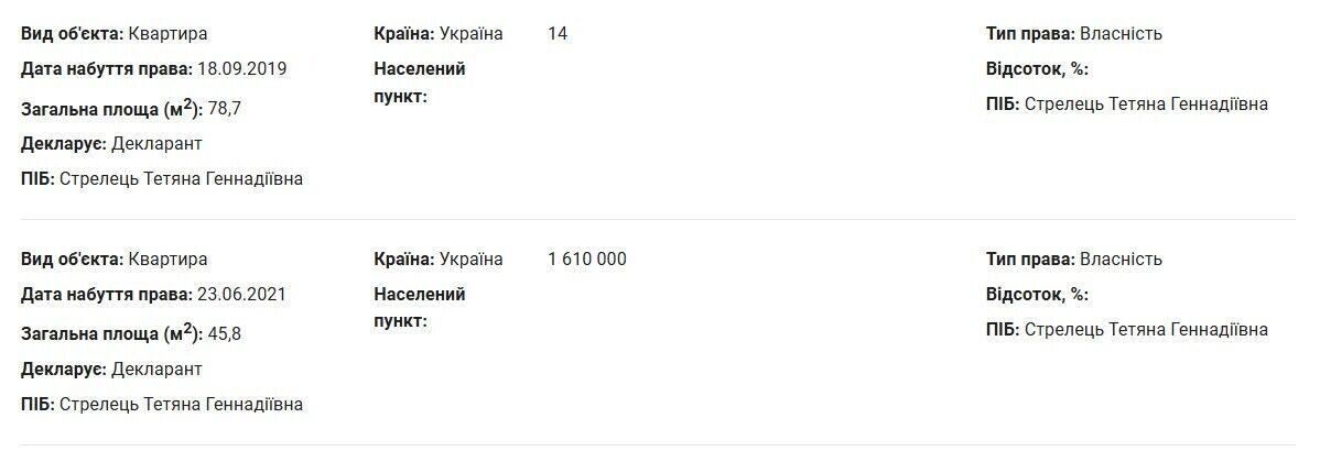 судья, Татьяна Стрелец, декларация