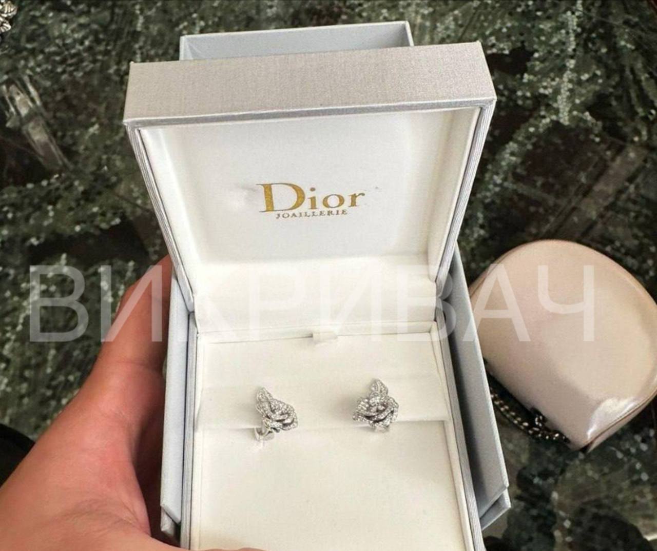 Годинник Rolex, сережки Dior та мільйони готівкою — нові деталі справи Тетяни Крупи