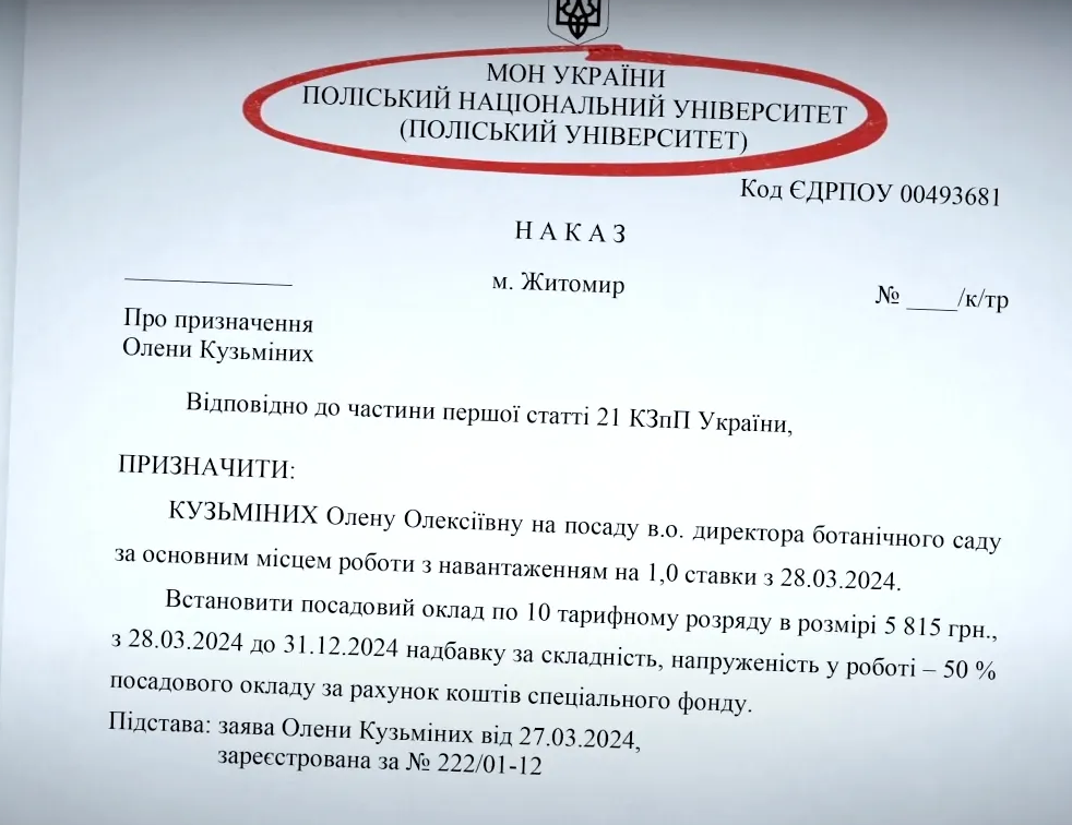 Как растет карьера жены нардепа Кузьминых: должность в университете, зарплата и новое жилье