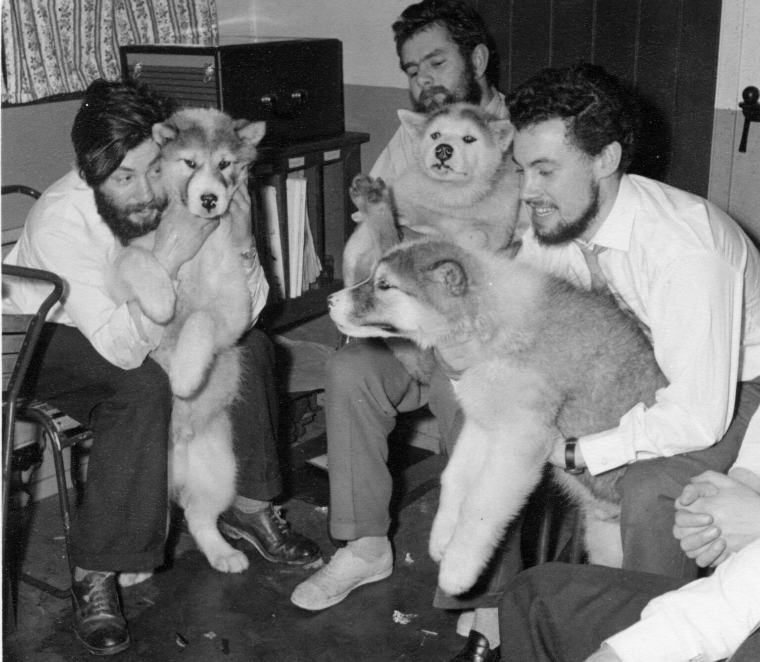 66 лет во льдах: в Антарктиде обнаружили тело британского метеоролога