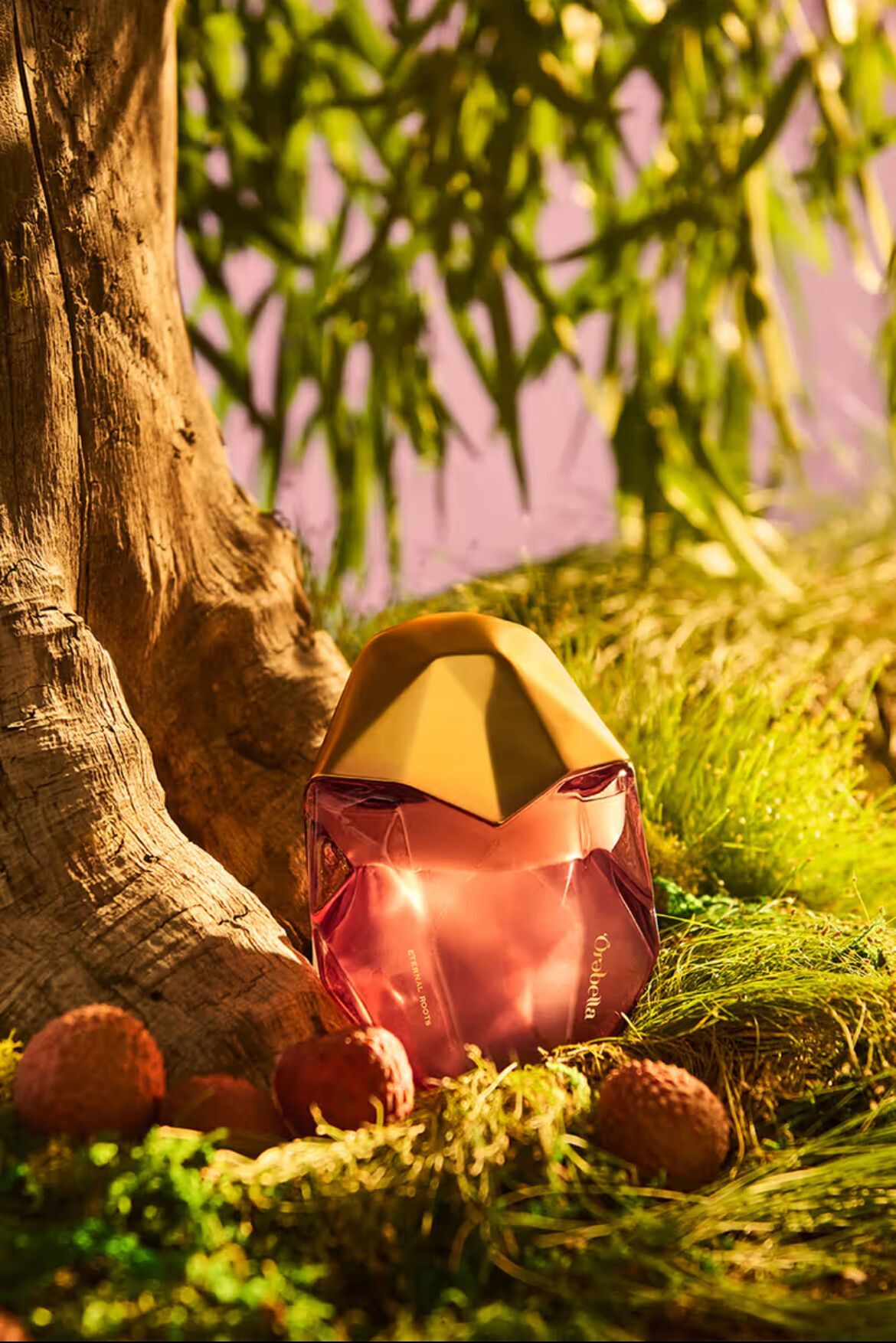 Белла Хадид представила новый древесный аромат Orebella - ''Eternal Roots''