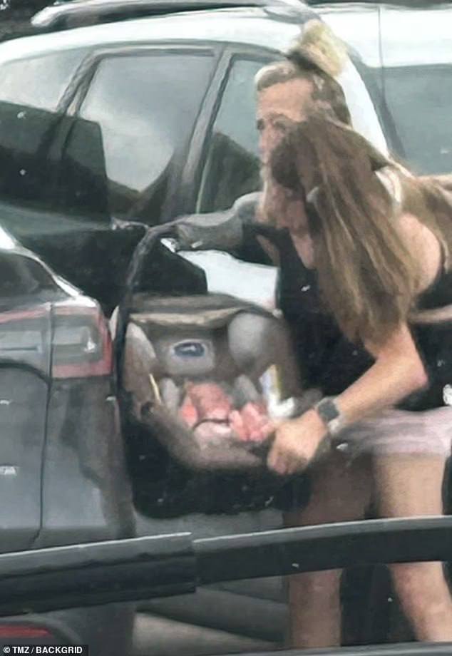 Сестри Хенсел викликали нову хвилю чуток появою з дитячим автокріслом